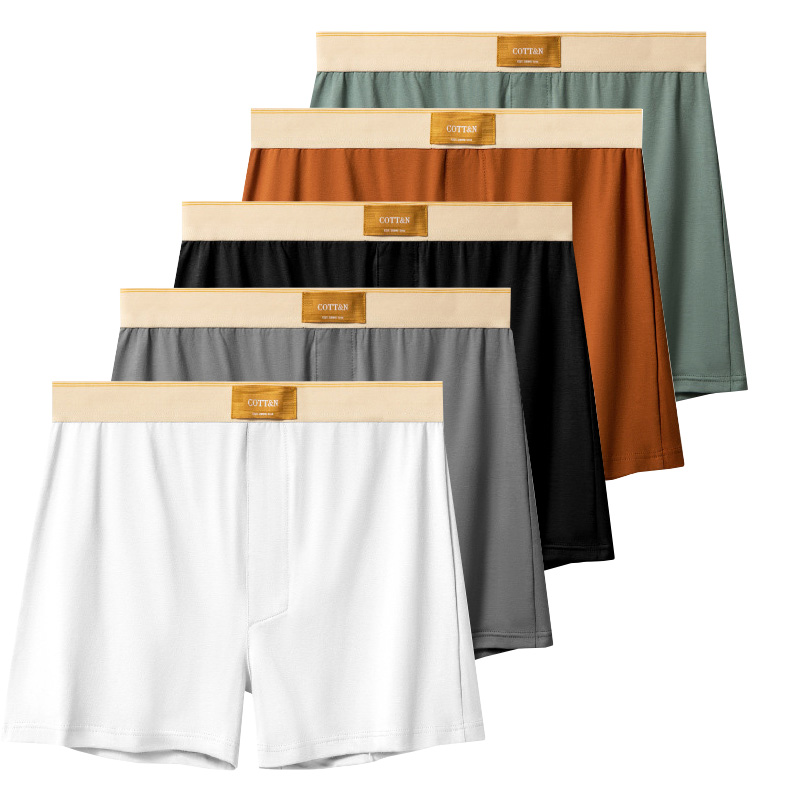 4 stücke Männliche Pfeil Hosen – Boxer Brief Pack Cotton Bewertung und Preis